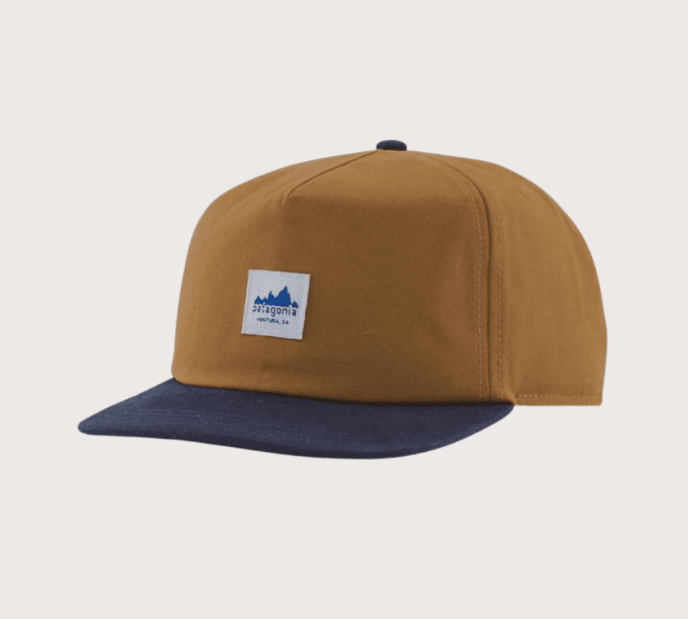 Patagonia Range Cap